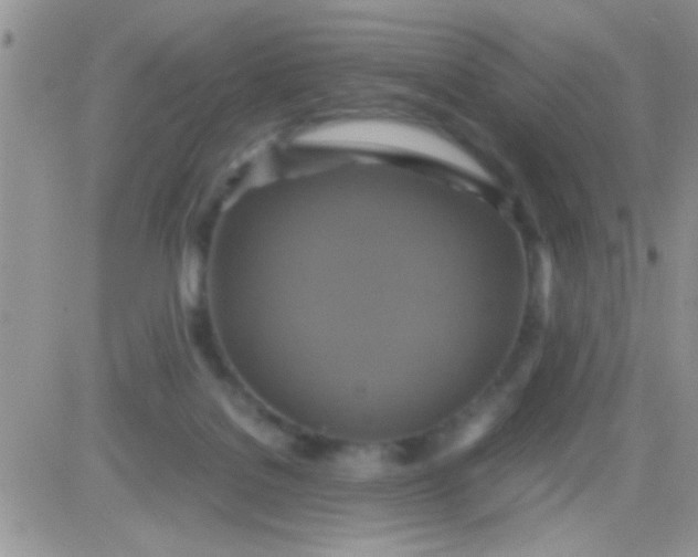 X0000081370076200701252025