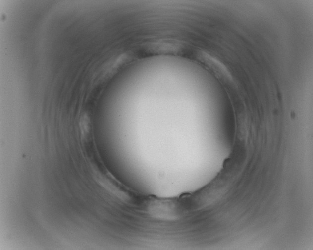 X0000081370077200701252025