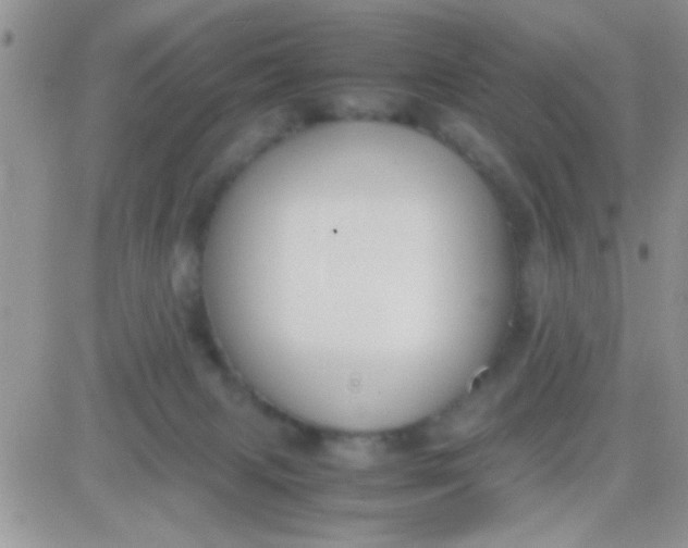 X0000081370079200701252025