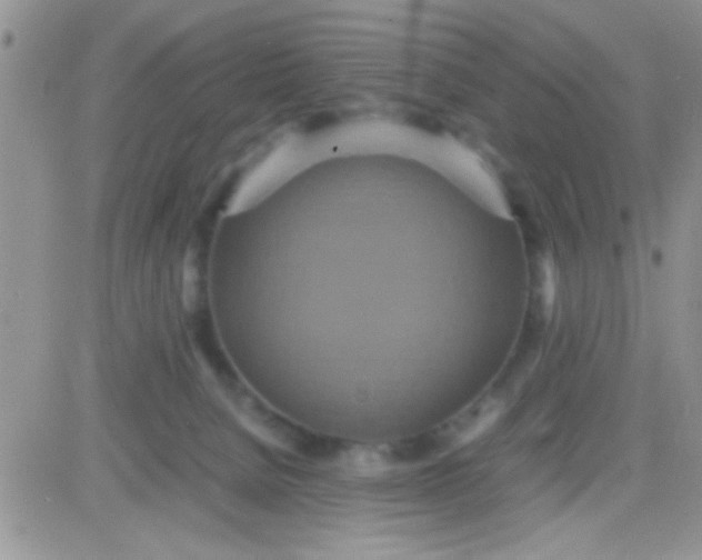 X0000081370080200701252025