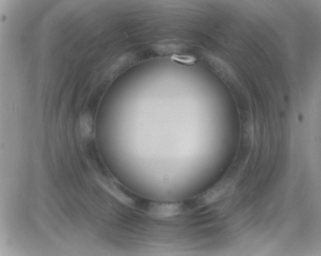 X0000081370081200701252025