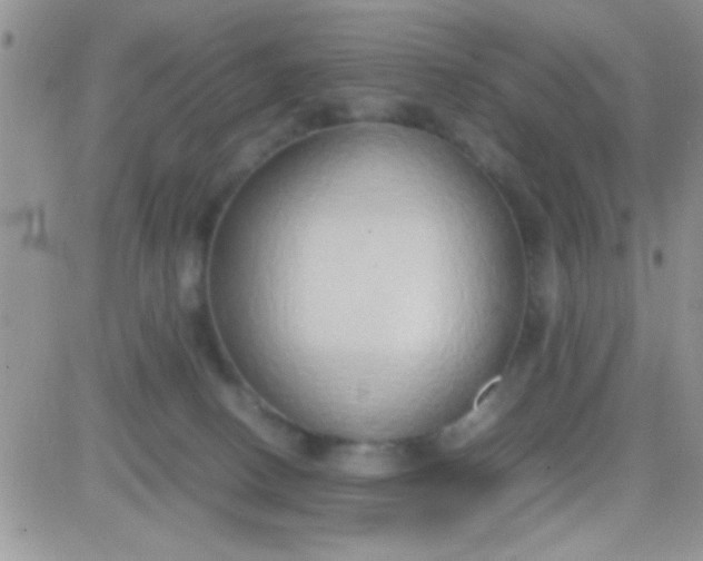 X0000081370082200701252025