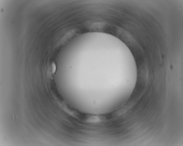 X0000081370083200701252025