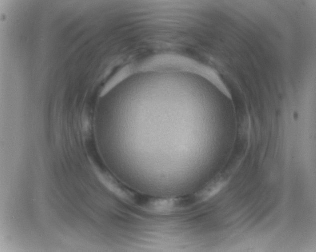 X0000081370084200701252025