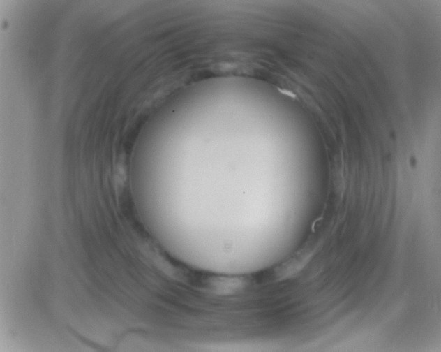 X0000081370085200701252025