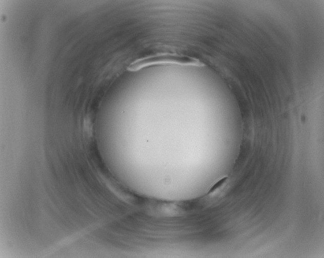 X0000081370086200701252025