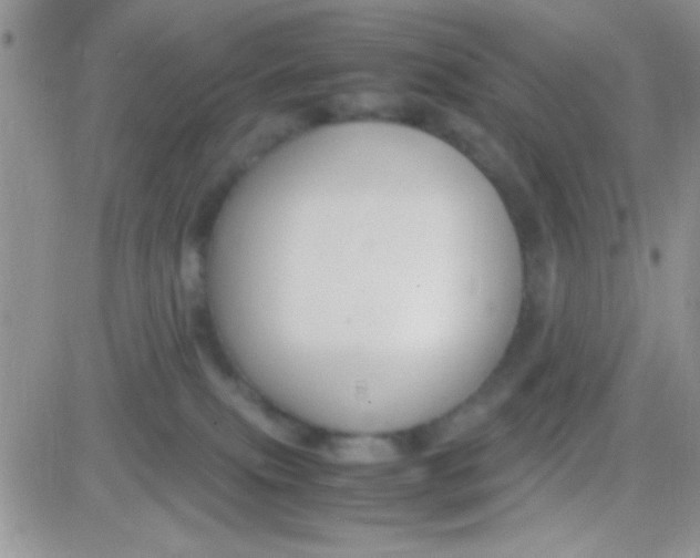 X0000081370087200701252025