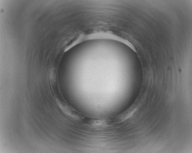 X0000081370088200701252025