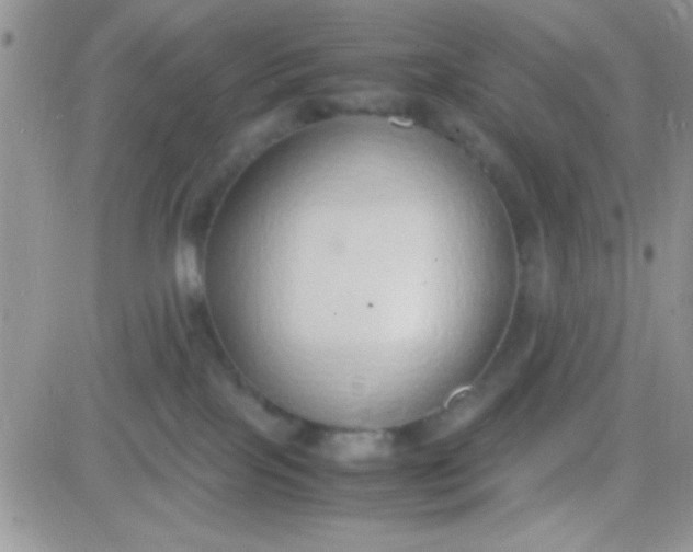 X0000081370089200701252025