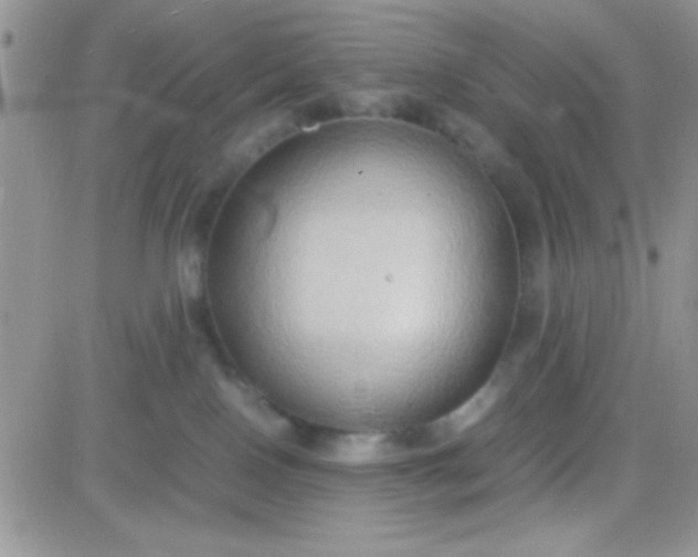 X0000081370090200701252025