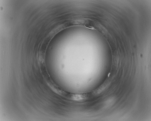 X0000081370091200701252025