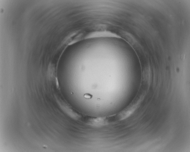 X0000081370092200701252025