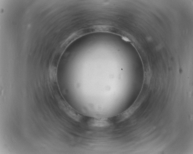 X0000081370093200701252025