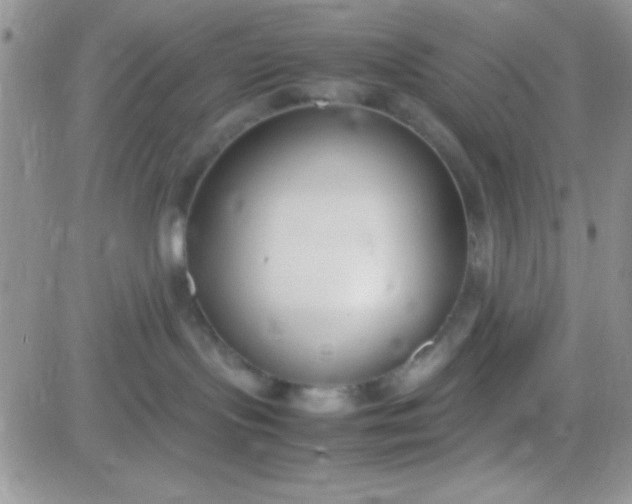 X0000081370095200701252025