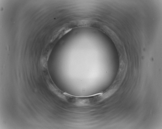 X0000081370096200701252025