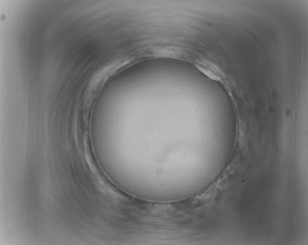 X0000081370097200701252024