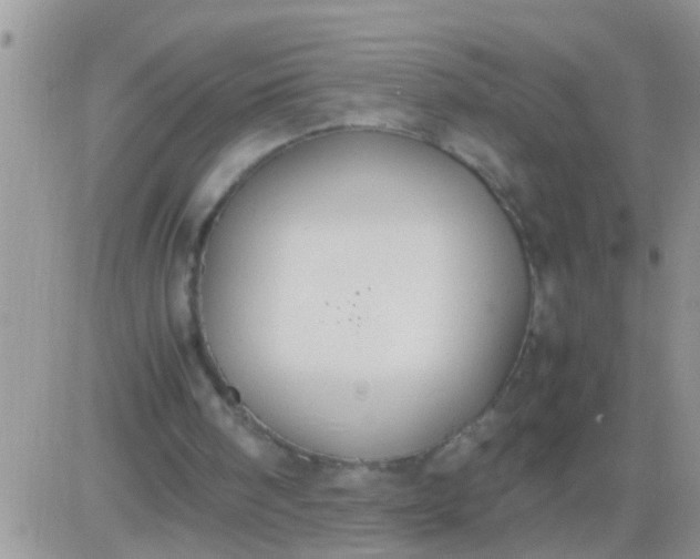 X0000081370098200701252024