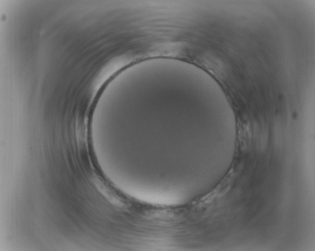 X0000081370100200701252024