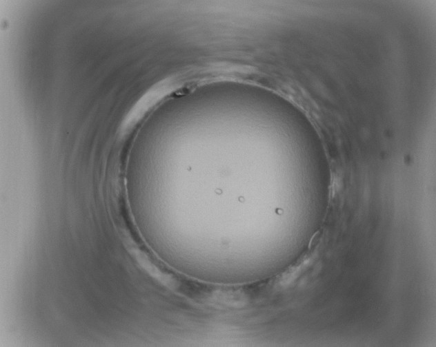 X0000081370101200701252024