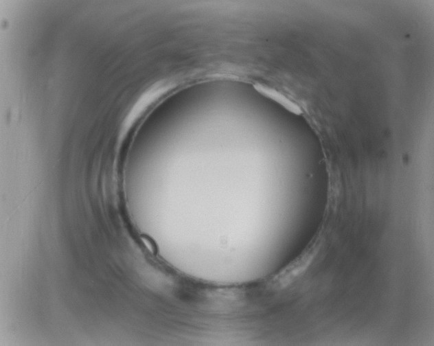 X0000081370102200701252024