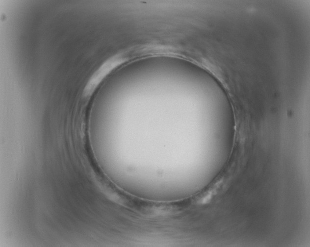 X0000081370103200701252024