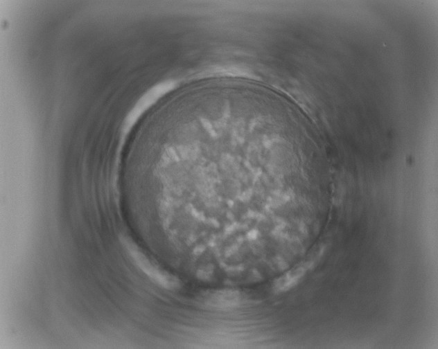 X0000081370104200701252024