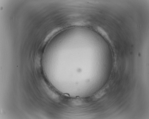 X0000081370106200701252024