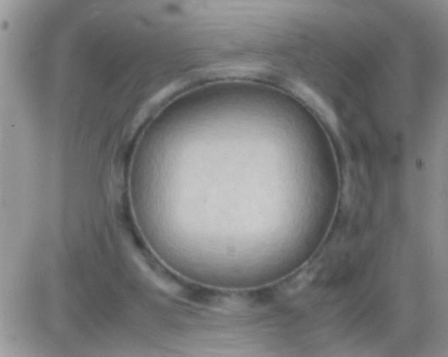 X0000081370107200701252024