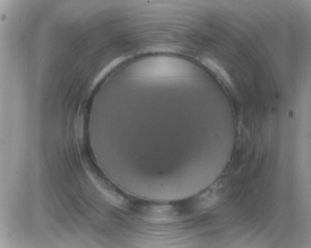 X0000081370108200701252024