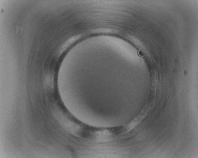 X0000081370112200701252024