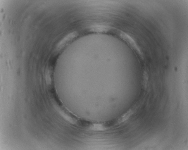 X0000081370114200701252024