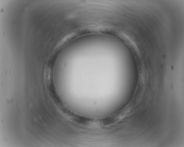 X0000081370115200701252024