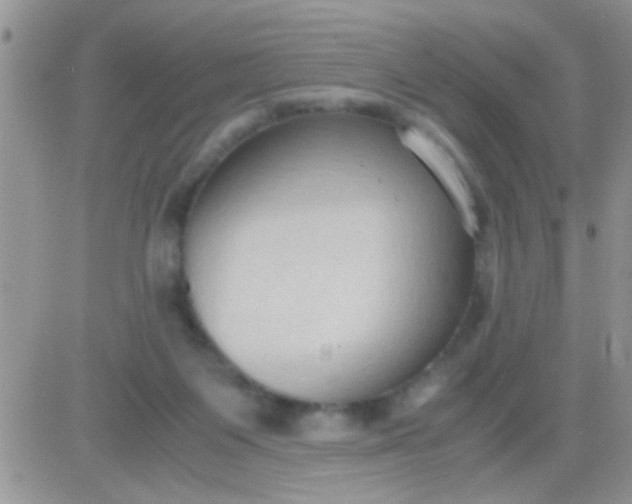 X0000081370119200701252024