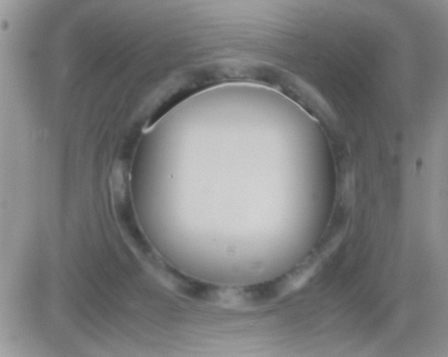 X0000081370121200701252024