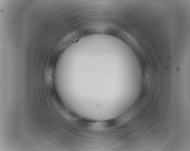 X0000081370122200701252024