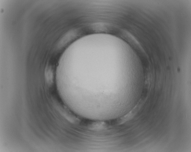 X0000081370124200701252024