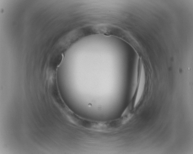 X0000081370125200701252024