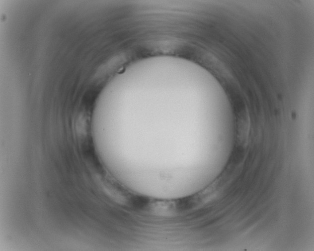 X0000081370126200701252024