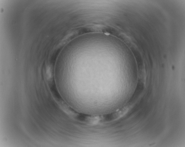 X0000081370131200701252024