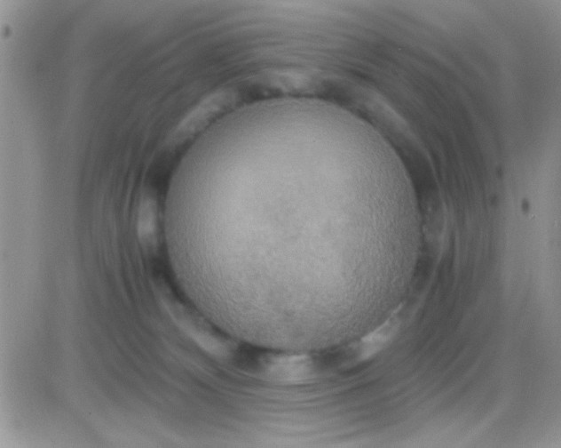 X0000081370132200701252024