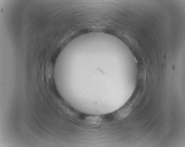 X0000081370133200701252023