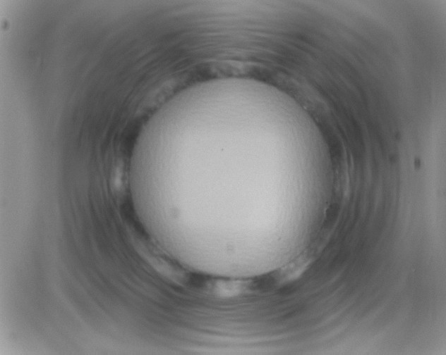 X0000081370134200701252023