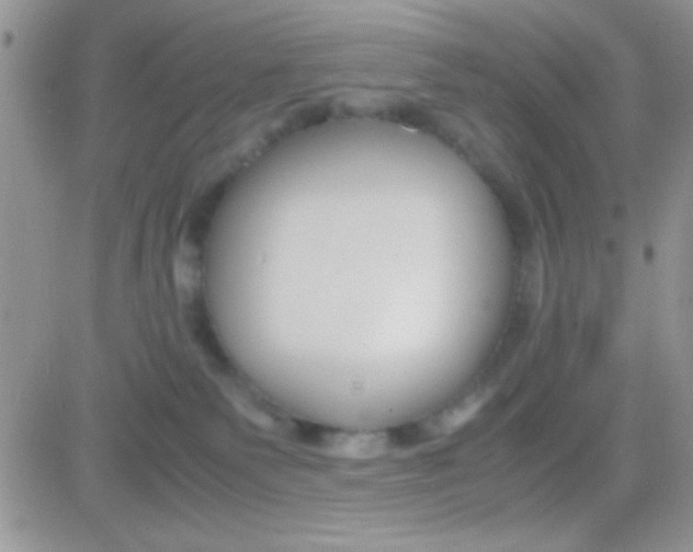 X0000081370135200701252023