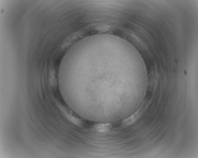 X0000081370136200701252023