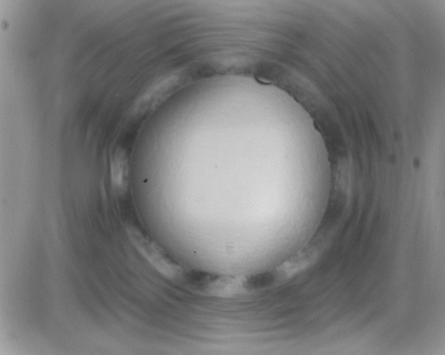 X0000081370138200701252023