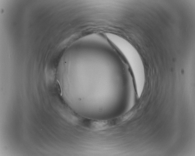 X0000081370139200701252023