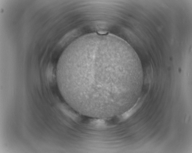 X0000081370140200701252023