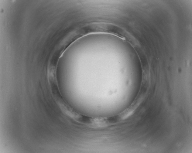 X0000081370141200701252023