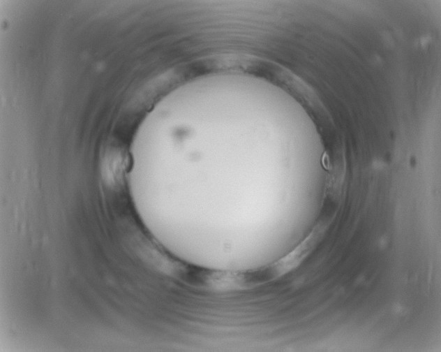 X0000081370142200701252023