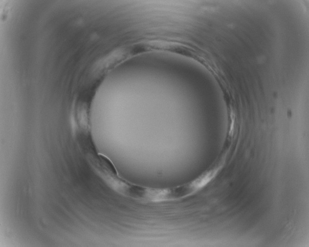 X0000081370143200701252023